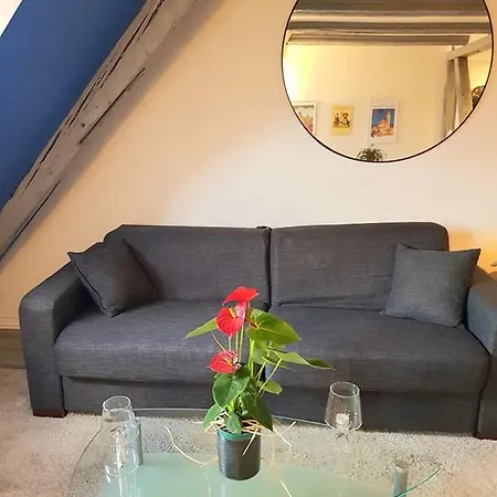 New ! Vue Petite Venise-place To Be - Parking Apartment Colmar