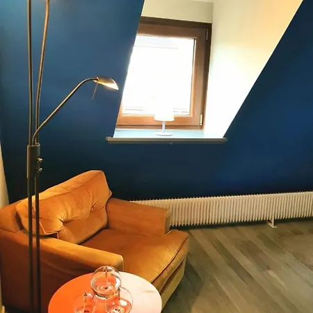 New ! Vue Petite Venise-place To Be - Parking Apartment Colmar