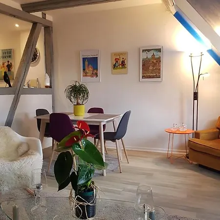 Apartment New ! Vue Petite Venise-place To Be - Parking Colmar