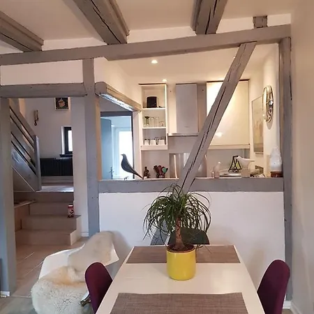 New ! Vue Petite Venise-place To Be - Parking Apartment Colmar