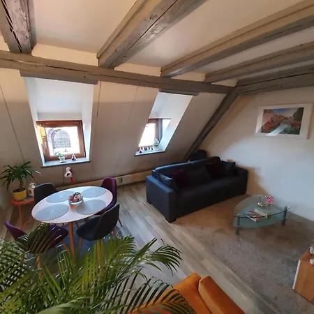 New ! Vue Petite Venise-place To Be - Parking Κολμάρ