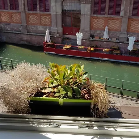 New ! Vue Petite Venise-place To Be - Parking كولمار