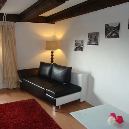 New ! Vue Petite Venise-place To Be - Parking * كولمار