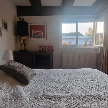 New ! Vue Petite Venise-place To Be - Parking * كولمار
