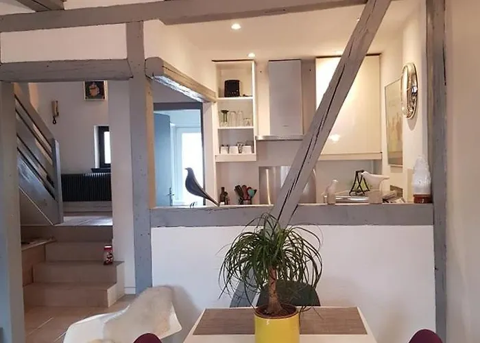 Apartment New ! Vue Petite Venise-place To Be - Parking Colmar