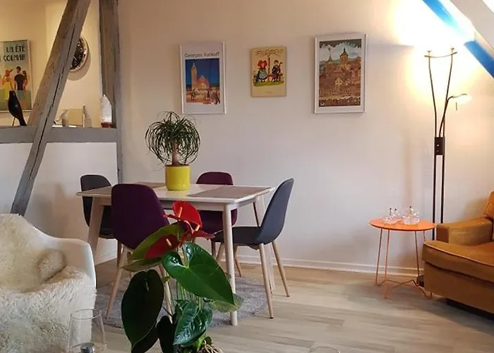 Apartment New ! Vue Petite Venise-place To Be - Parking Colmar